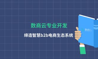 数商云专业开发,缔造智慧b2b电商生态系统