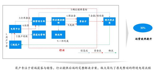 行云全球汇coo黄志远 进口b2b电商仍在快速增长,行云一站式供应链服务赋能上下游生态体系